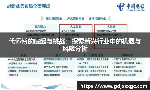 代怀博的崛起与挑战：探索新兴行业中的机遇与风险分析