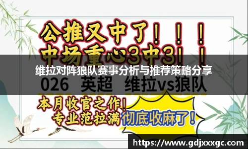 维拉对阵狼队赛事分析与推荐策略分享